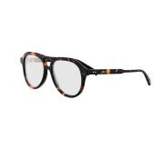 Dark Tortoiseshell