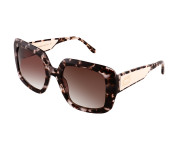 Tortoiseshell Medium