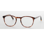 Tortoiseshell Medium