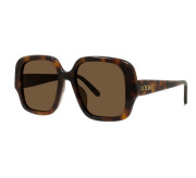 Tortoiseshell Medium