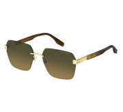 Tortoiseshell Medium