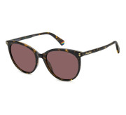 Tortoiseshell Medium