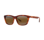 Tortoiseshell Medium