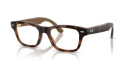 Dark Tortoiseshell