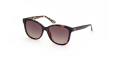 Dark Tortoiseshell