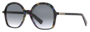 Dark Tortoiseshell