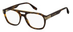 Dark Tortoiseshell
