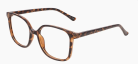 Dark Tortoiseshell