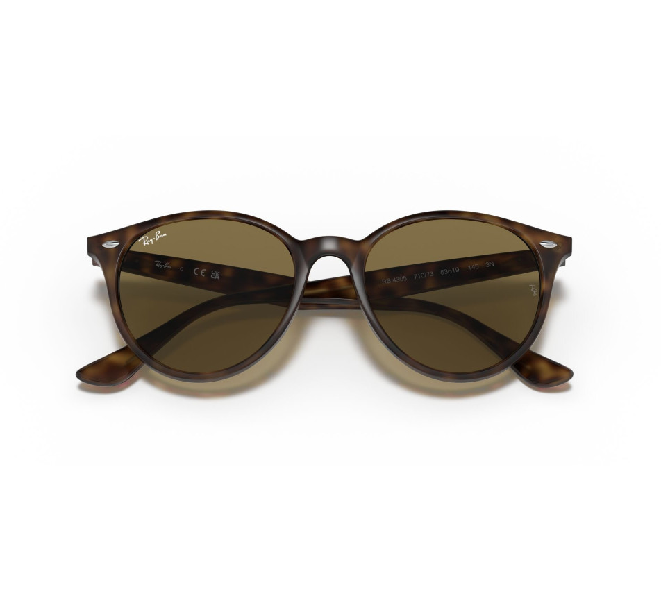 Lunettes de soleil RAY-BAN RB4305 710/73 53/19