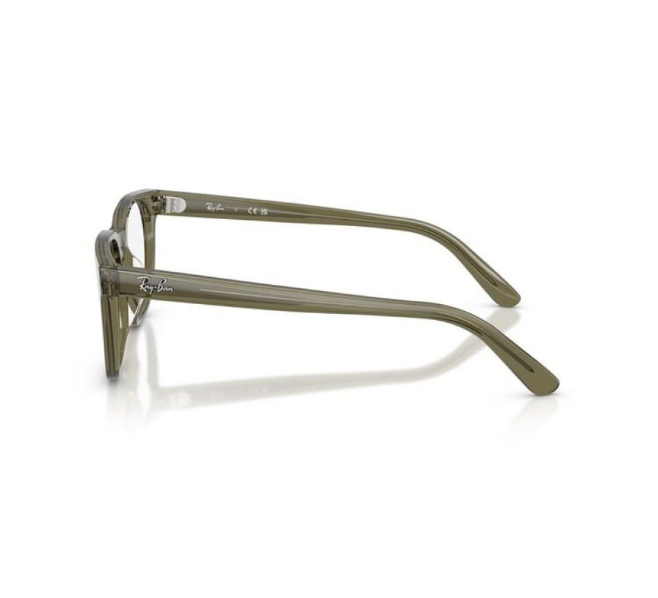 Lunettes de vue RAY-BAN RX5461D 8501 51/20