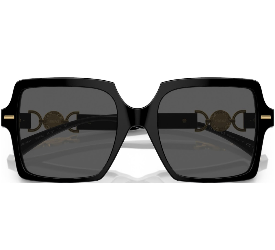 Lunettes de soleil VERSACE VE4441 GB1/87 55/20