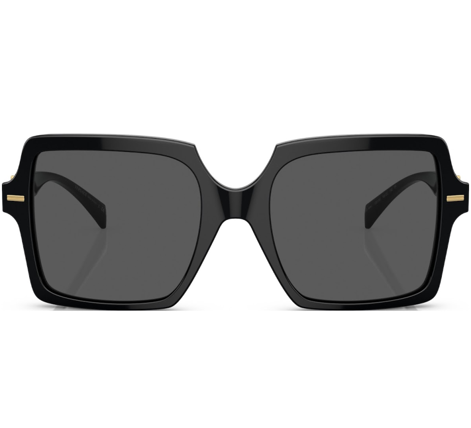 Lunettes de soleil VERSACE VE4441 GB1/87 55/20