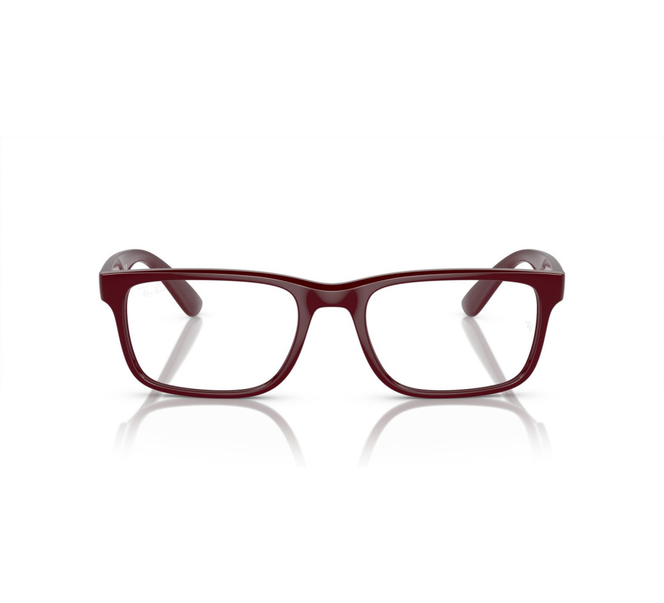 Lunettes de vue RAY-BAN RX7232M F685 54/19