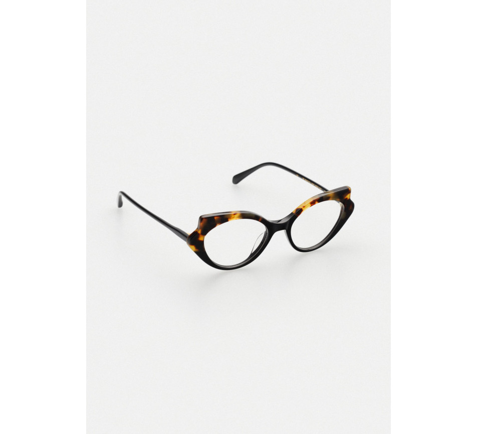 Lunettes de vue KALEOS VAN ALLEN COL 2 50/18