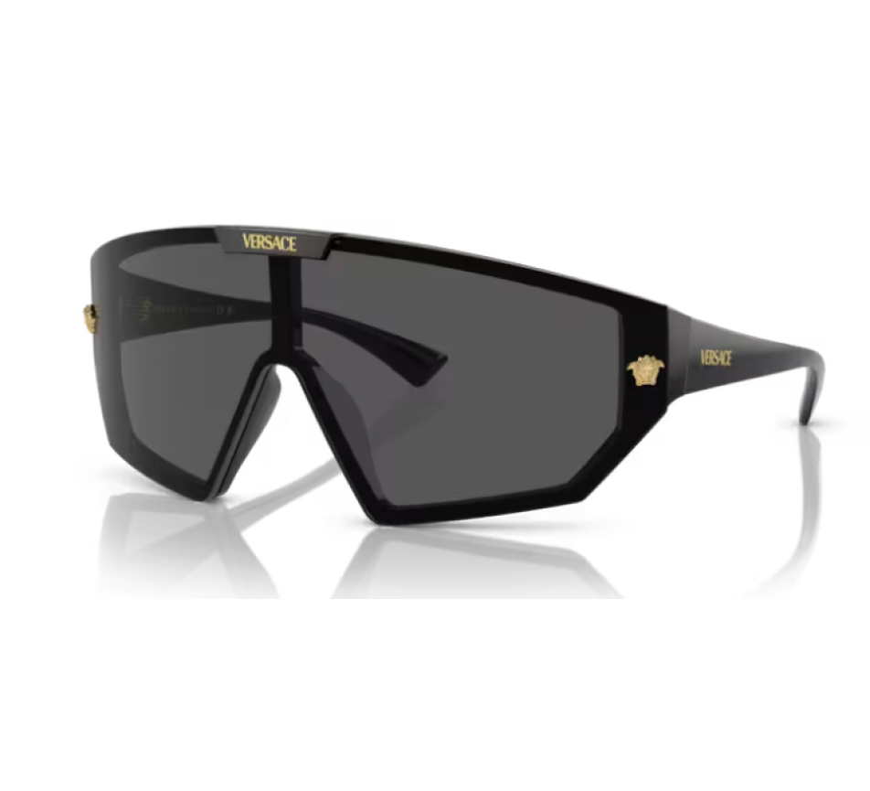 Lunettes de soleil VERSACE VE4461 GB1/87 47