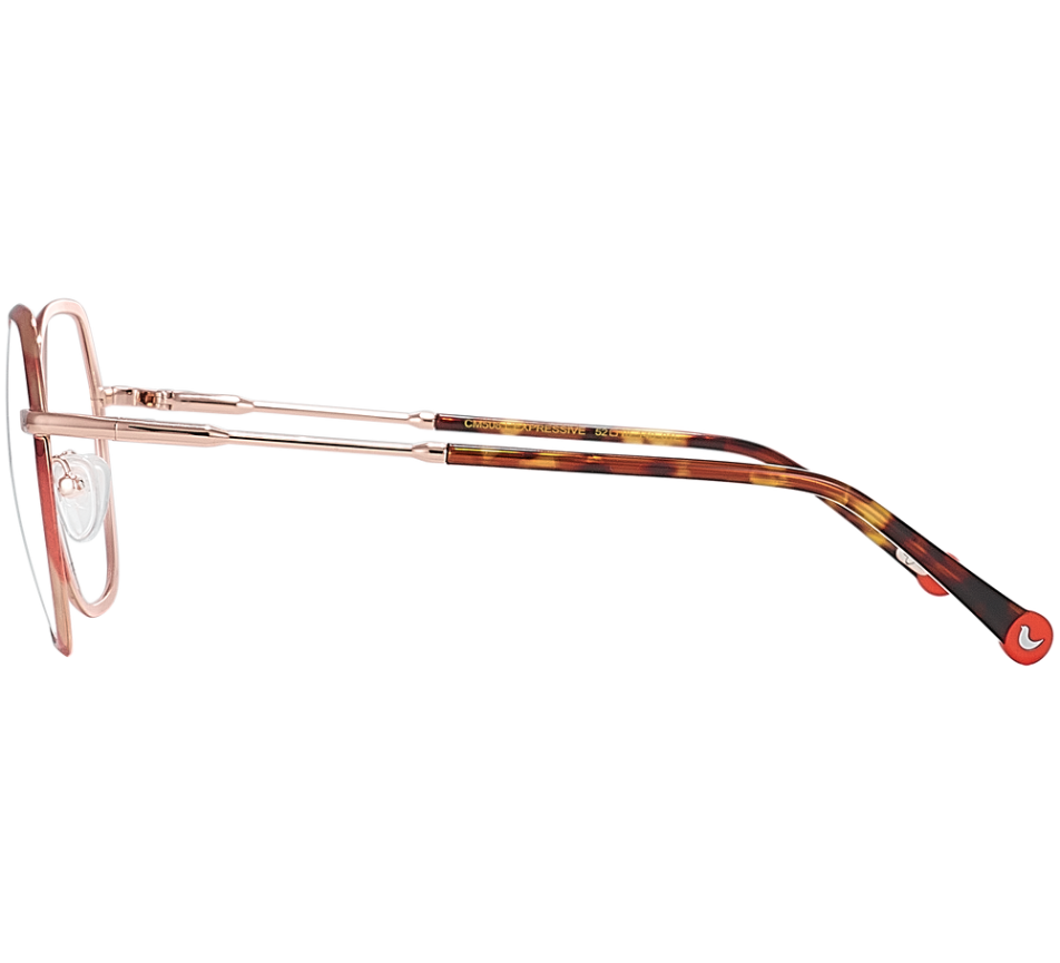 Lunettes de vue CLEMENCE & MARGAUX CM508 01E L'expressive 52/16