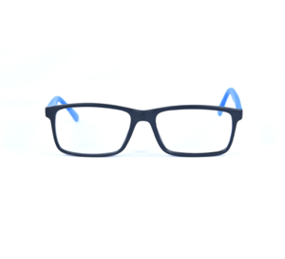 Lunettes de vue SDL FIP036 C2 53/16