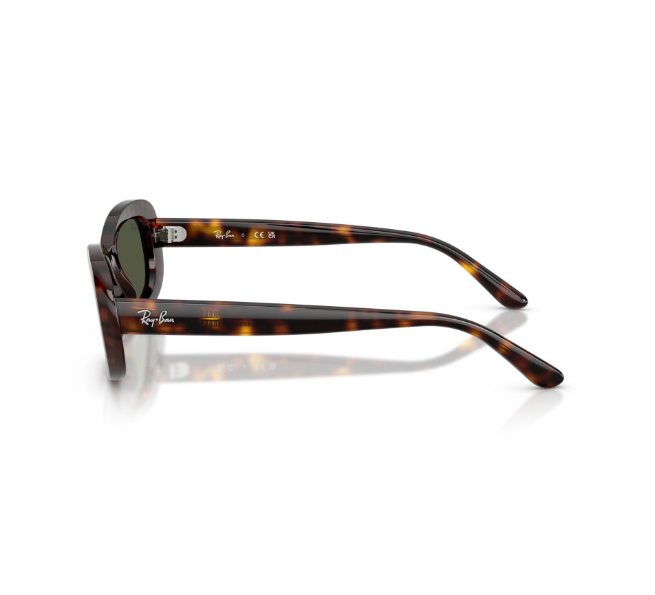 Zonnebrillen RAY-BAN RB2221 902/31 53/18