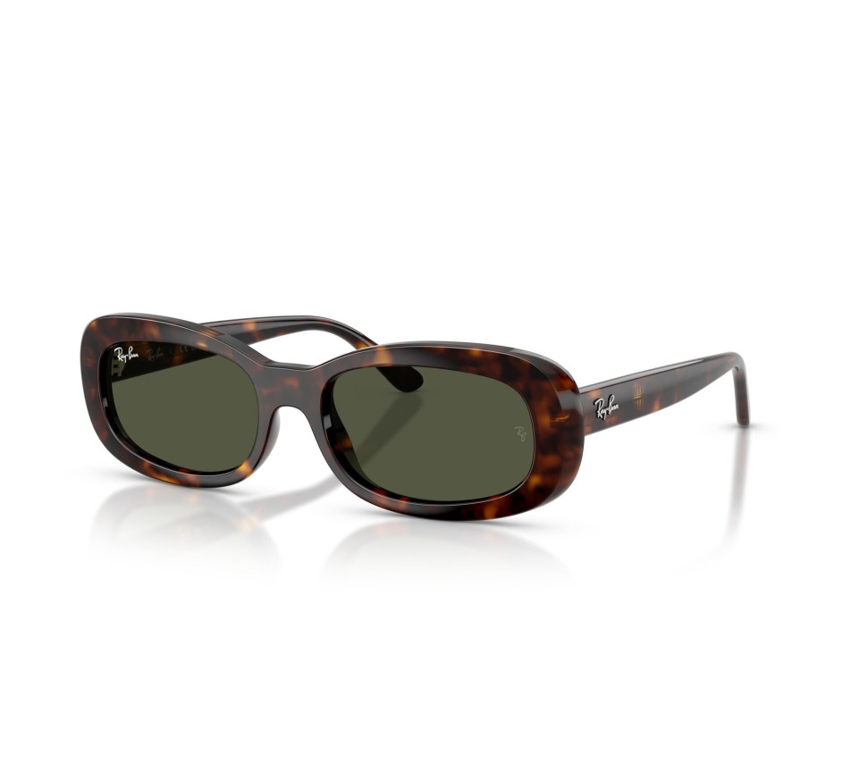 Zonnebrillen RAY-BAN RB2221 902/31 56/18