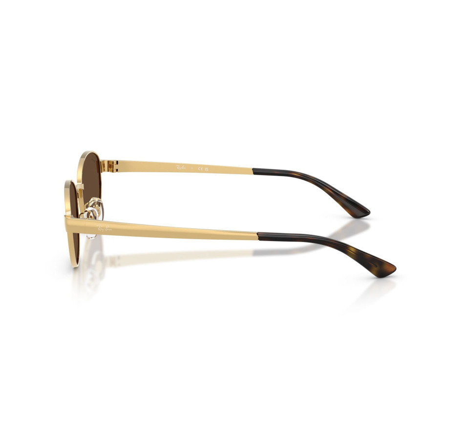 Zonnebrillen RAY-BAN RB3774D 001/73 55/19