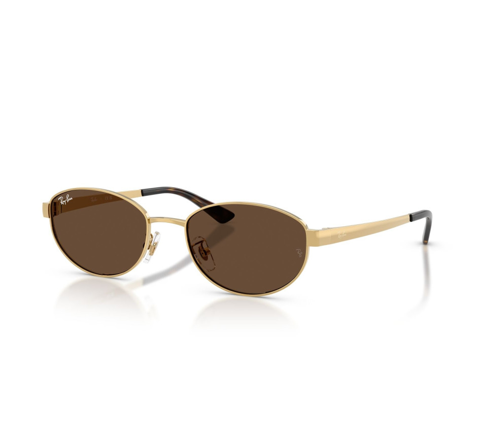 Zonnebrillen RAY-BAN RB3774D 001/73 55/19