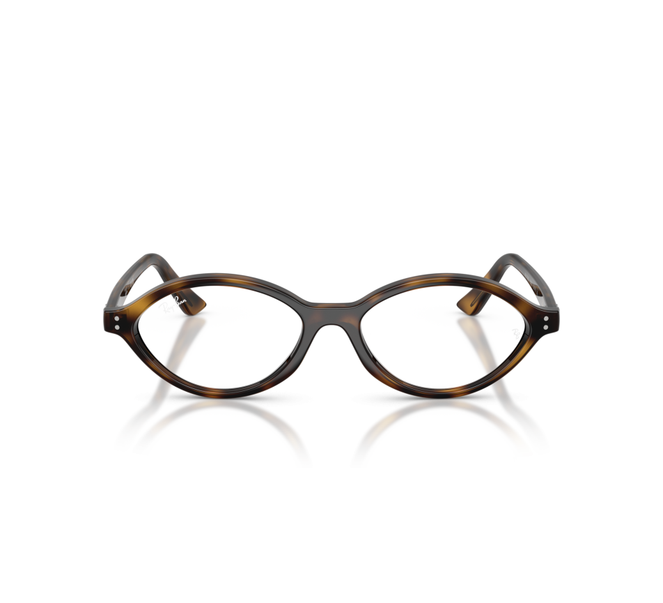 Brillen RAY-BAN RX7265 8320 54/16