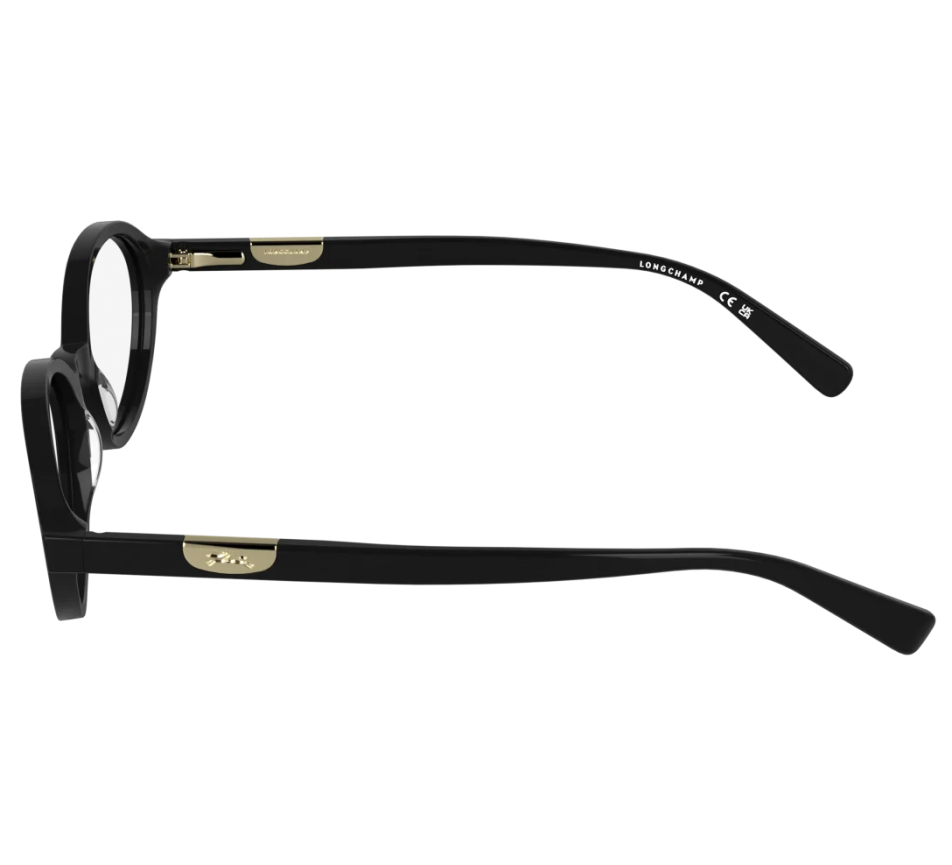 Brillen LONGCHAMP LO2811 001 52/19