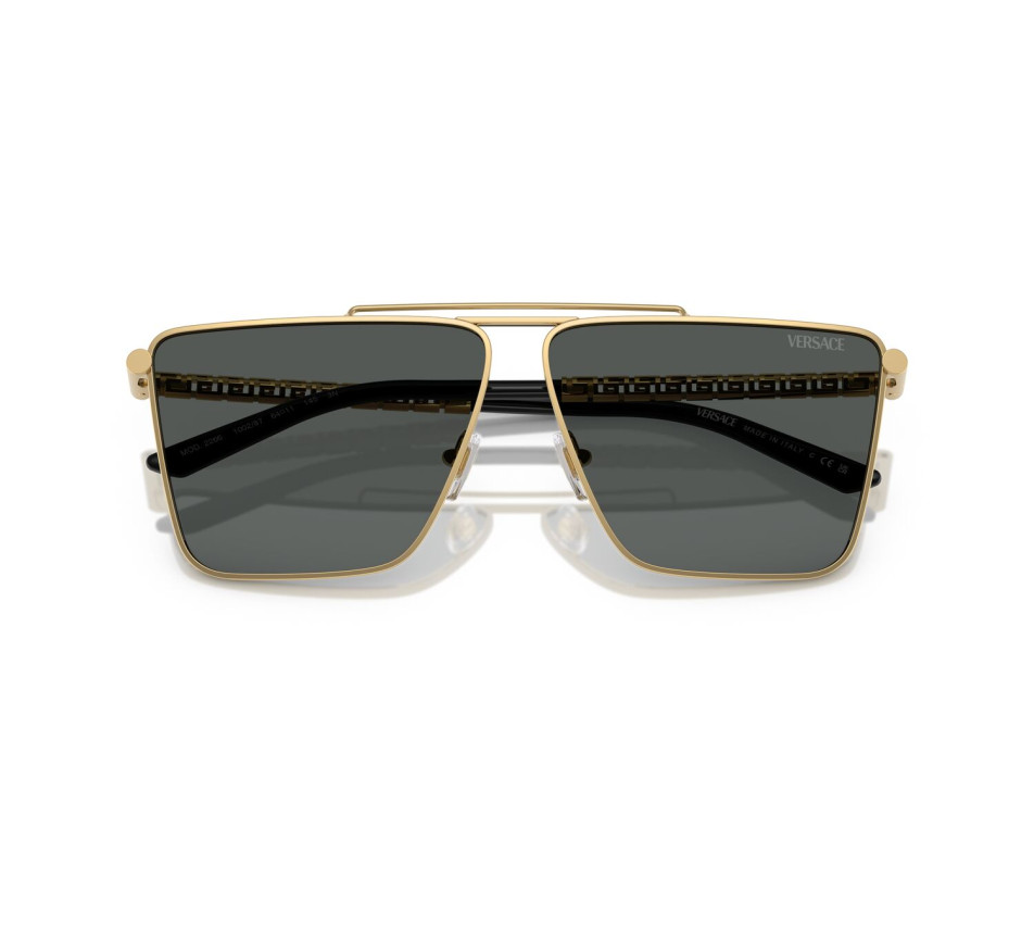 Zonnebrillen VERSACE VE2266 100287 64/11