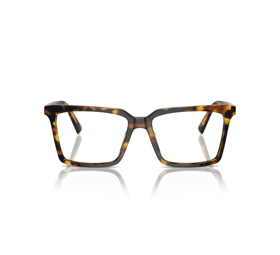 Brillen MIU MIU MU 08XV VAU1O1 54/16