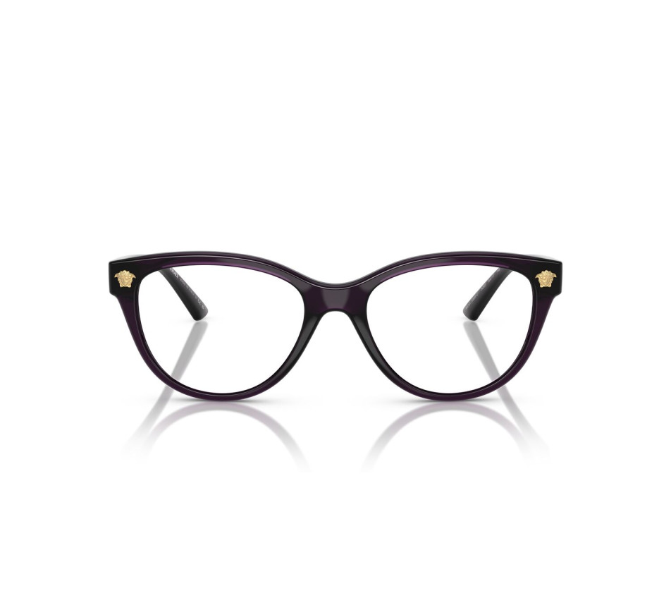 Brillen VERSACE VE3365U 5263 54/17