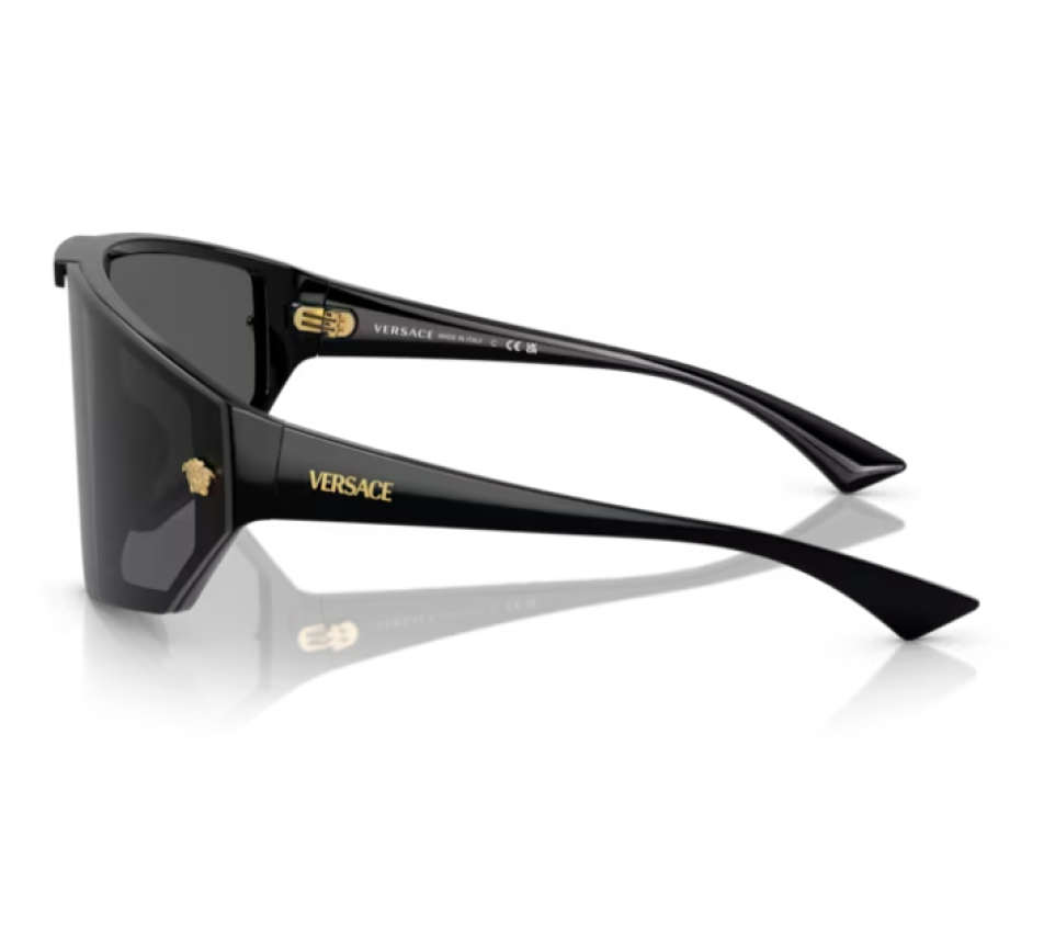 Zonnebrillen VERSACE VE4461 GB1/87 47