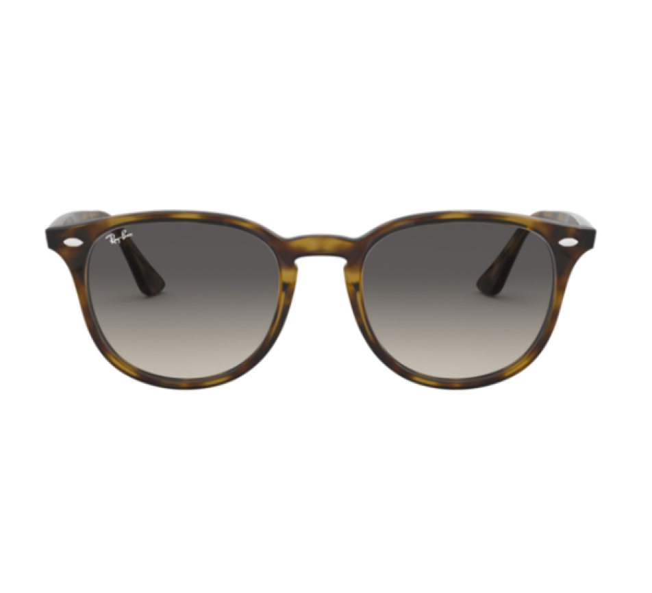 Zonnebrillen RAY-BAN RB4259 710/11 51/20