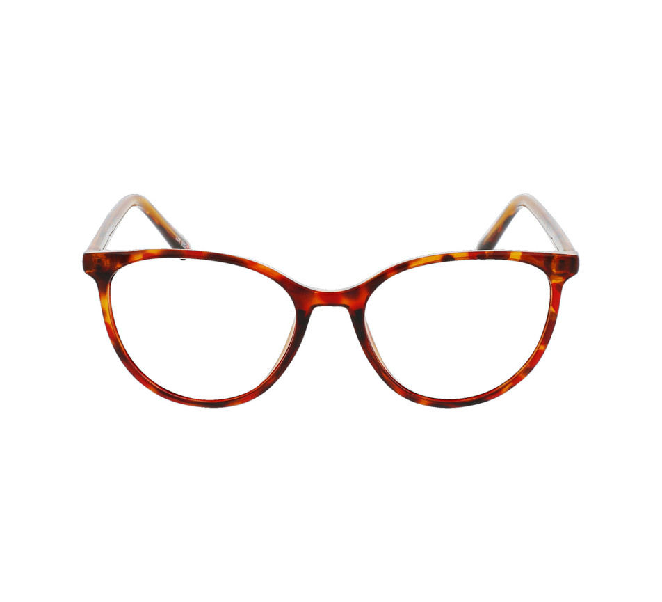 Brillen 1796 CBFP2209 ECAILLE 52/17