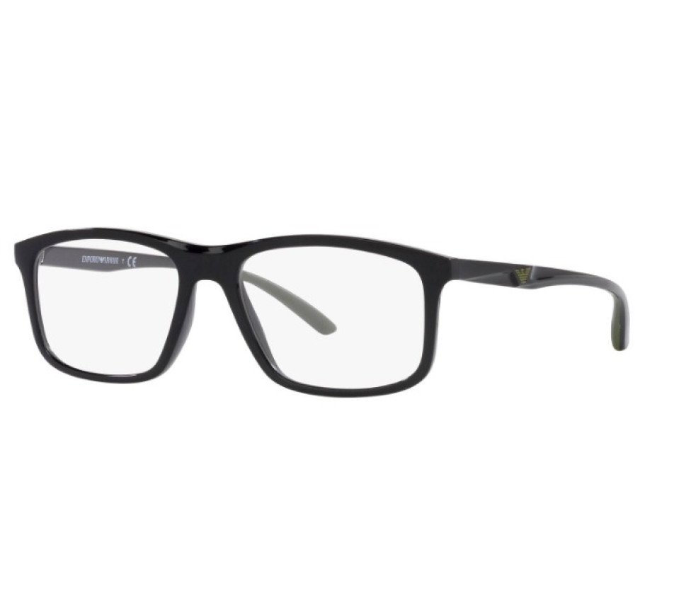 Brillen EMPORIO ARMANI EA3196 5017 54/17