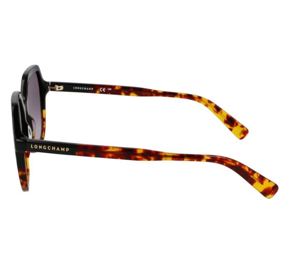 Zonnebrillen LONGCHAMP LO760S 011 56/17