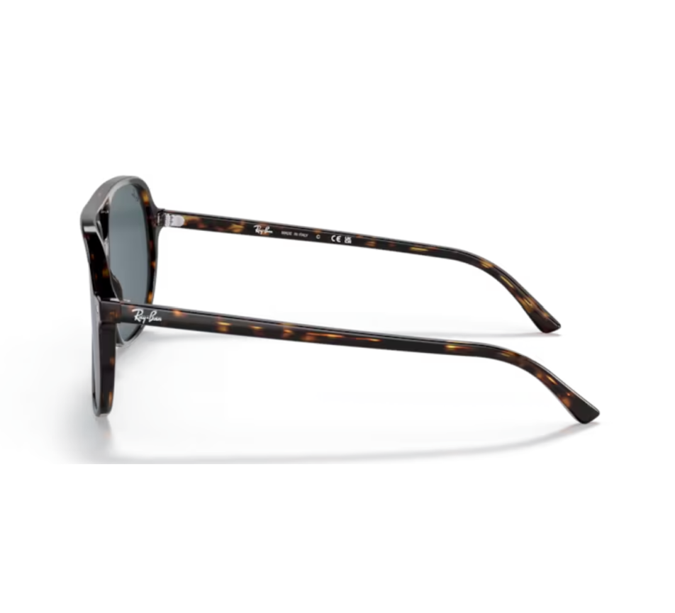 Zonnebrillen RAY-BAN RB2198 902/R5 60/14