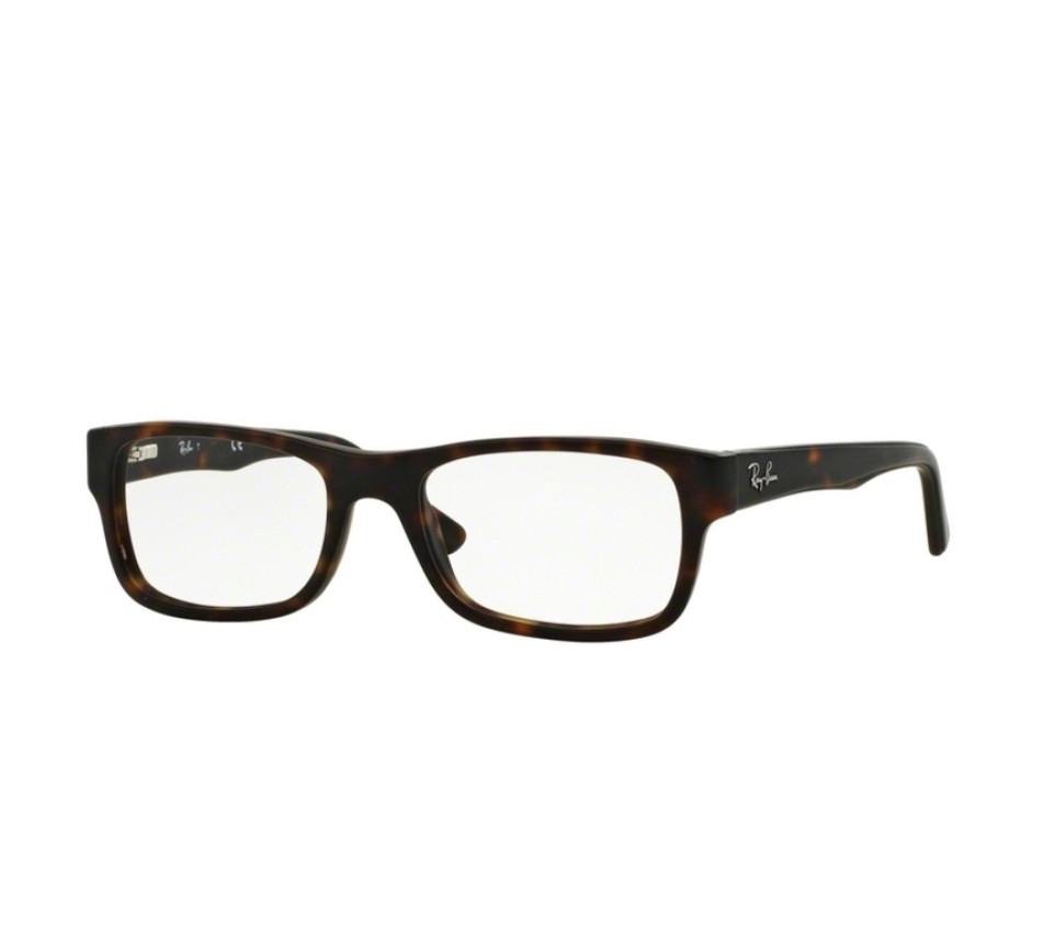 Brillen RAY-BAN RX5268 5211 50/17