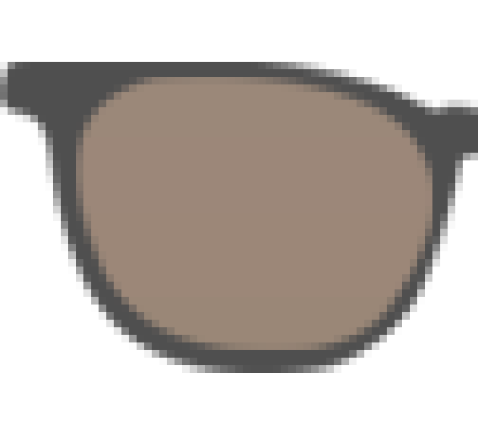 Zonnebrillen Bruine polarisator