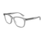 Lichtgrijs