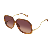 Havana medium