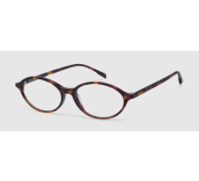Havana medium