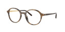 Havana medium