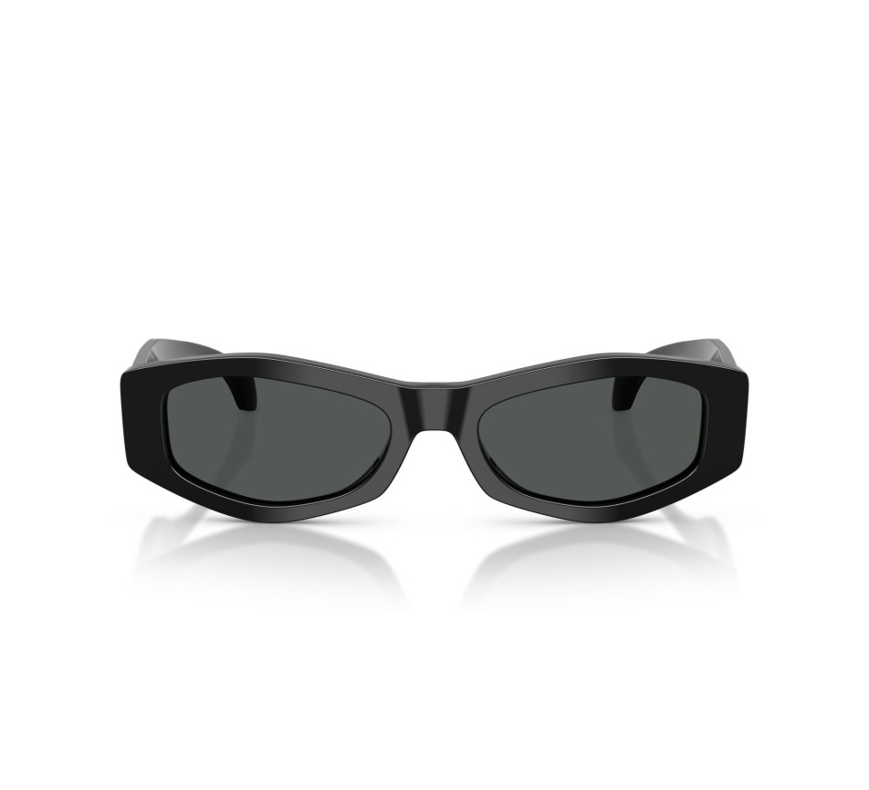 Zonnebrillen VERSACE VE4487 GB1/87 54/19