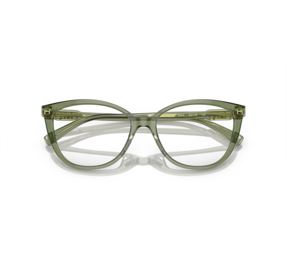 Brillen MICKAEL KORS Westminster-MK4109U 3944 54/16