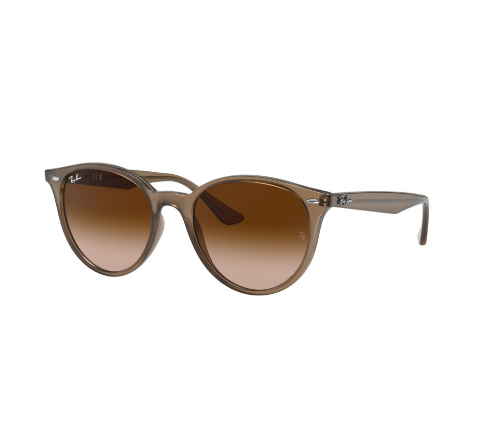 Zonnebrillen RAY-BAN RB4305 616613 53/19