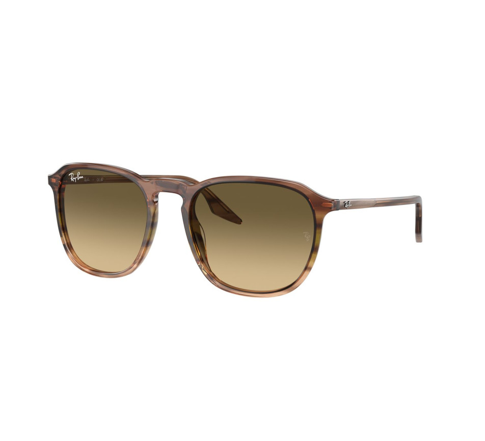 Zonnebrillen RAY-BAN RB2203 13920A 52/20