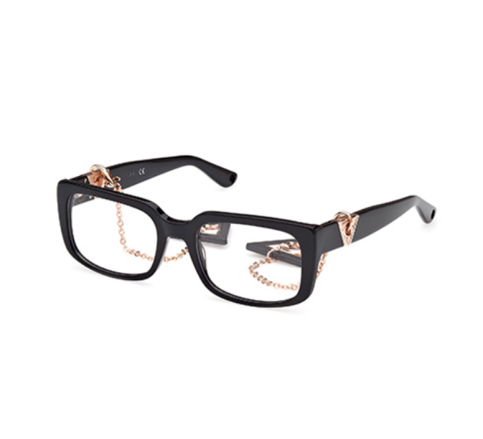 Brillen GUESS GU2959 001 53/19