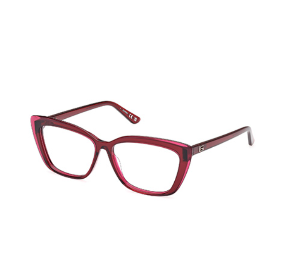 Brillen GUESS GU2977 069 55/13