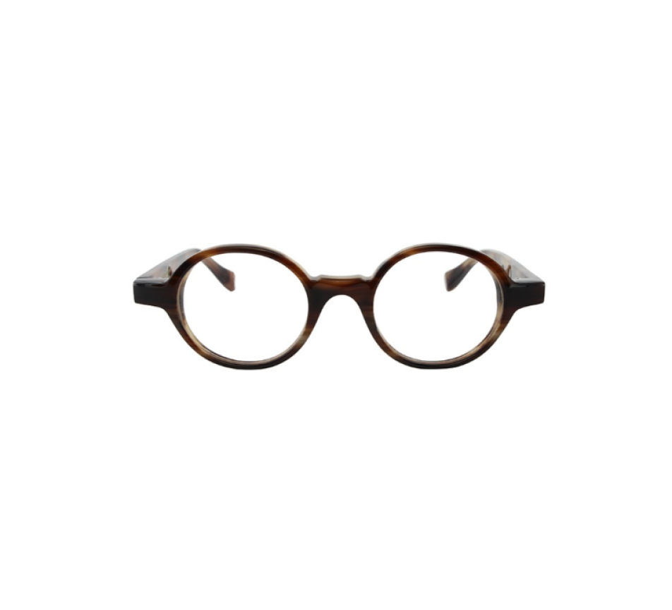 Brillen FRANCOIS PINTON FPHAUSSMANN3-Mm-M 42/19