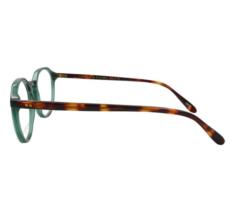 Brillen FRANCOIS PINTON FPTRAVELLER2 Gz-M 49/19